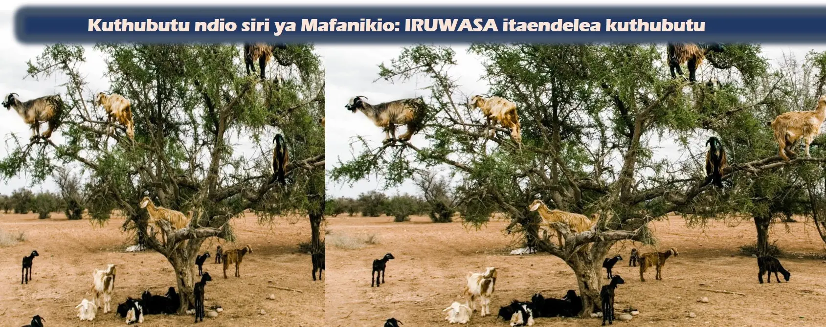 Hii ni picha inayobeba Taswira kwamba Mafanikio mengi inayopata IRUWASA ni kwa sababu ya kuthubutu katika mambo mengi
